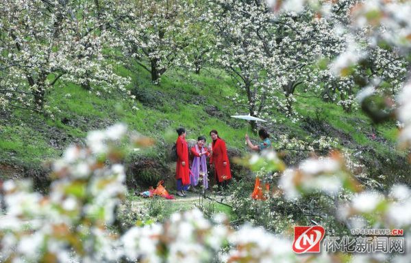 2020年  怀化森林旅游收入将达100亿