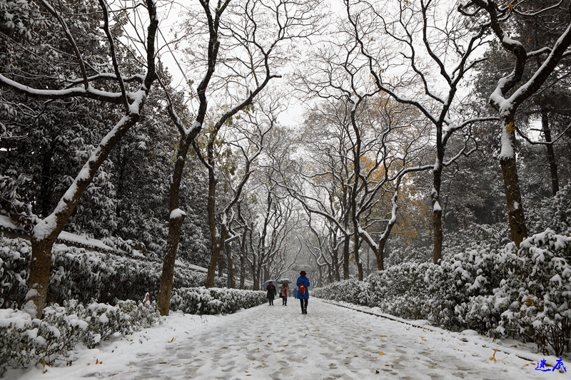 2.雪景--18.jpg