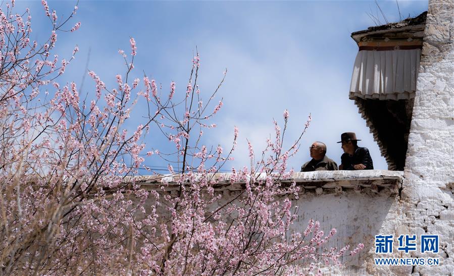 (美丽中国)(2)拉萨: 山寺桃花始盛开