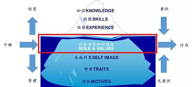 社会角色和价值观