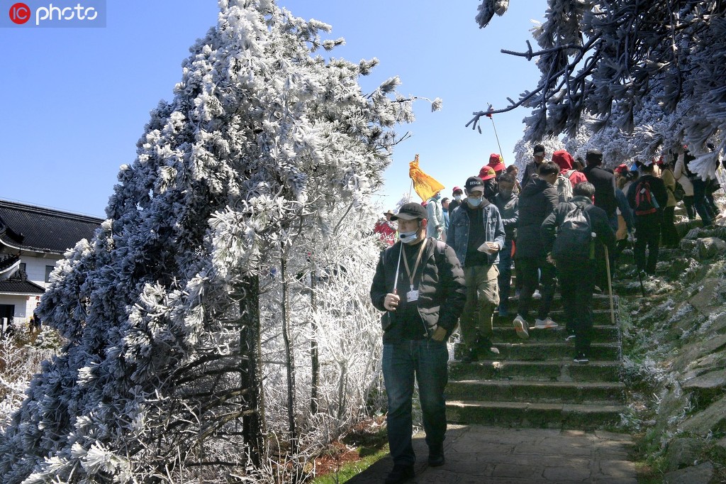 安徽黄山风景区旅游升温 游人尽情享受春光【3】