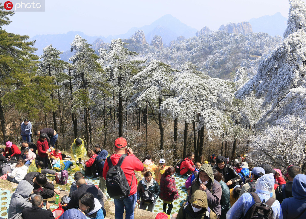 安徽黄山风景区旅游升温 游人尽情享受春光【4】