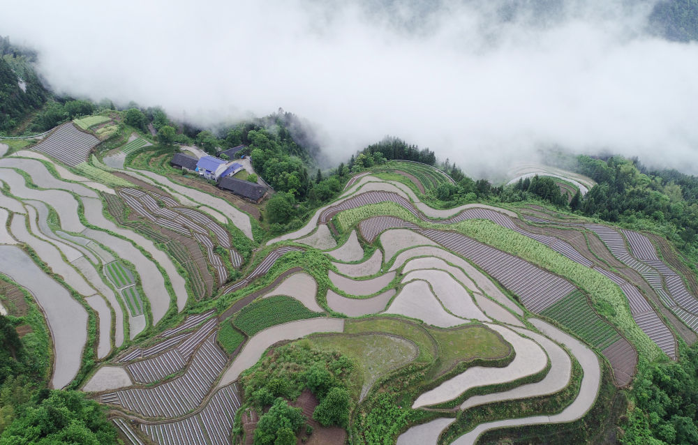 5月10日，湖南省张家界市大坪镇堡子界雨后初霁，云雾在山峦和梯田间飘荡，呈现云上田园般的美丽景致。当日在湖南张家界市永定区大坪镇堡子界拍摄的山间梯田景色。新华社发（吴勇兵 摄）