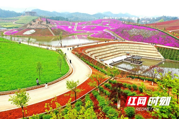 茶乡花海 戴爱玲.marked.jpg 茶乡花海 戴爱玲.marked.jpg