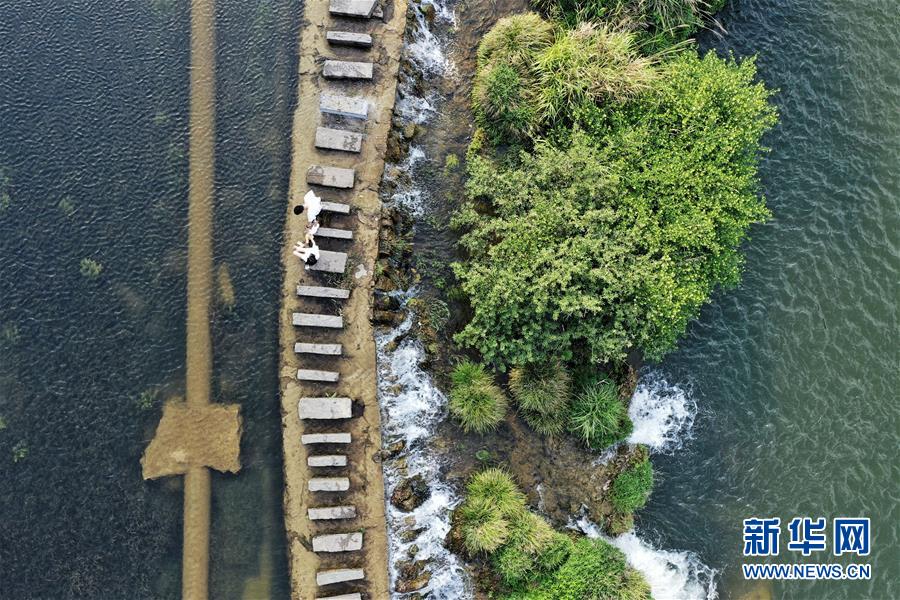 （环境）（4）贵阳：初夏湿地景如画