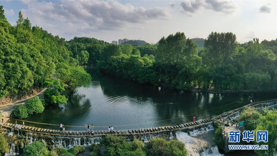 （环境）（1）贵阳：初夏湿地景如画