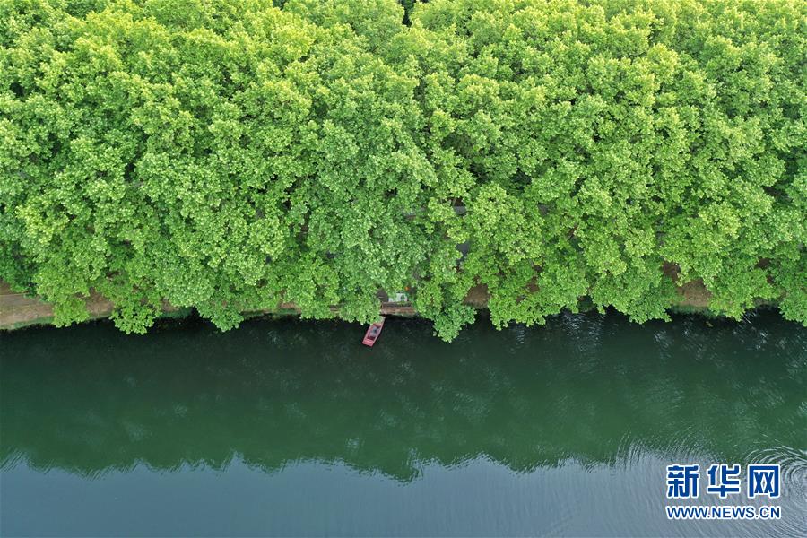 （环境）（3）贵阳：初夏湿地景如画