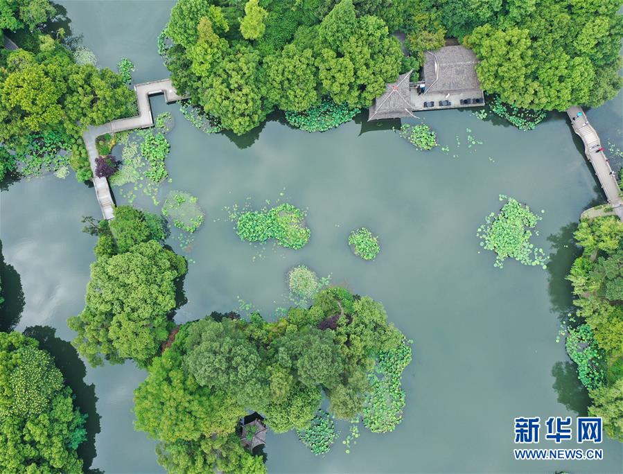 （环境）（4）西湖初夏