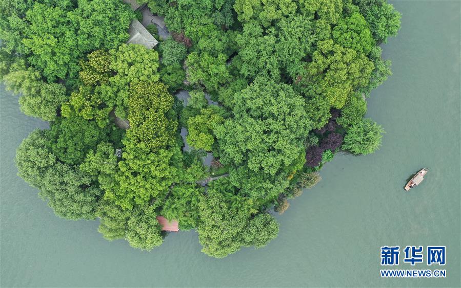 （环境）（5）西湖初夏