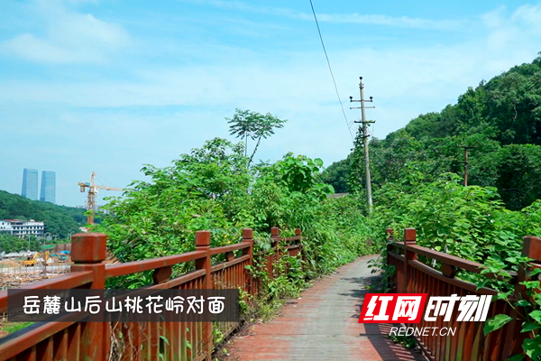微信图片_20200528171231.png 微信图片_20200528171231.png