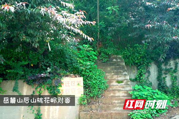 微信图片_20200528171259.png 微信图片_20200528171259.png