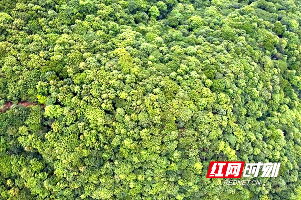 微信图片_20200528171615.png 微信图片_20200528171615.png