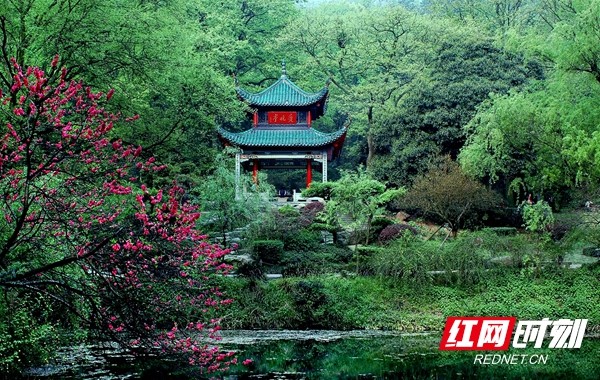 麓山景区1.jpg