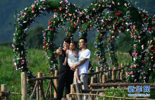 陕西太白：花开引客来