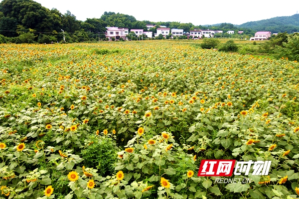 微信图片_20200709120711.jpg