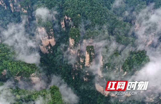 DJI_0434_副本_副本.jpg