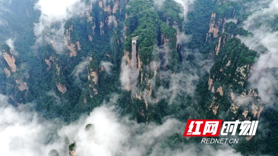 DJI_0487_副本_副本.jpg