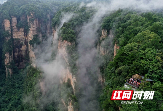DJI_0589_副本_副本.jpg