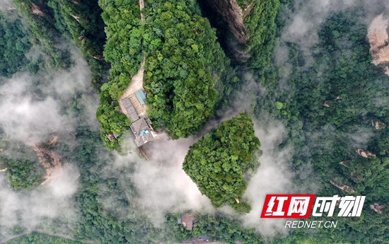 DJI_0504_副本_副本.jpg