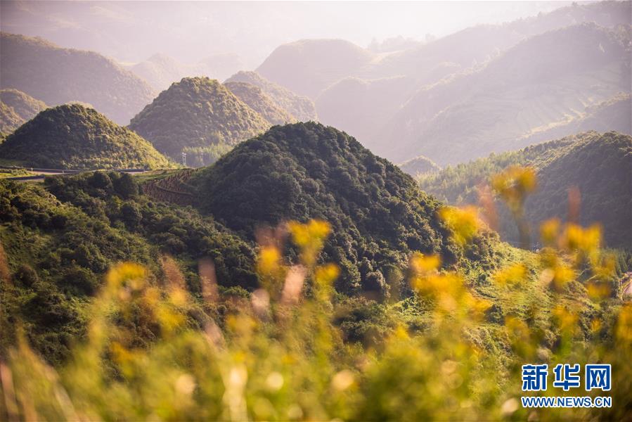 （环境）（4）贵州韭菜坪风景如画