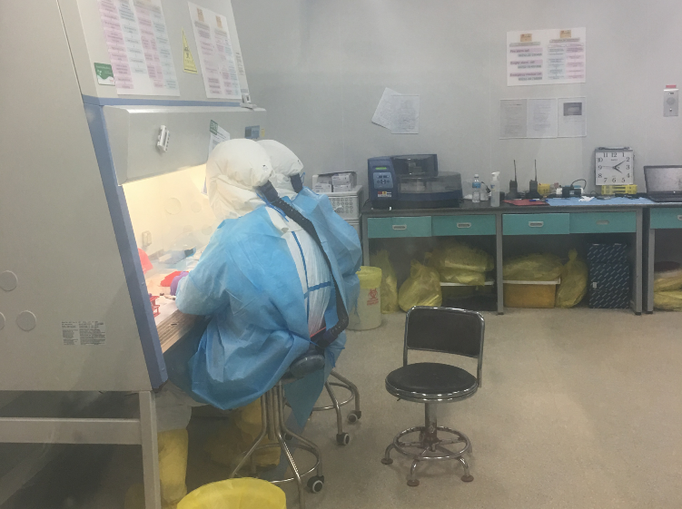 中国疾控中心援塞第六批专家组在塞拉利昂-中国友好固定生物安全三级实验室进行样本核酸提取工作 图源：中国疾控中心官网