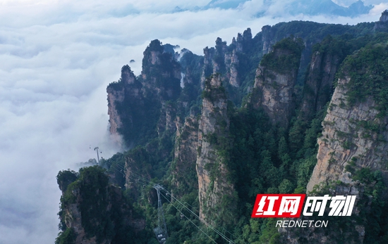 DJI_0309_副本_副本.jpg