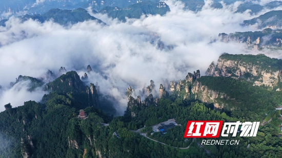 DJI_0322_副本_副本.jpg