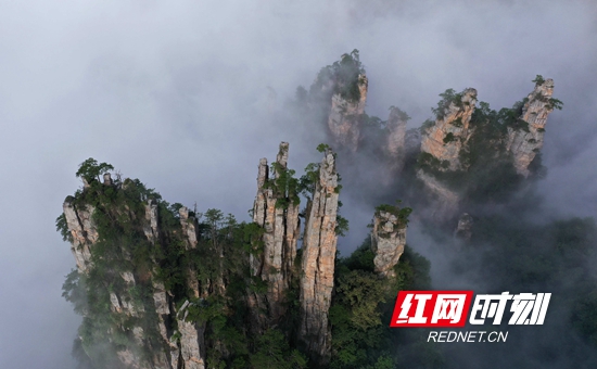 DJI_0335_副本_副本.jpg