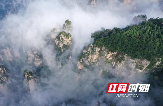 DJI_0342_副本_副本.jpg