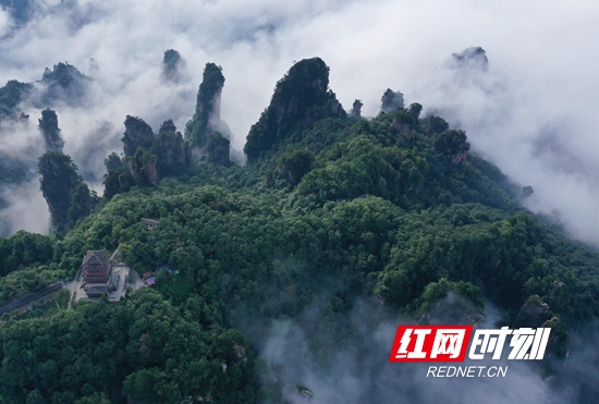 DJI_0345_副本_副本.jpg