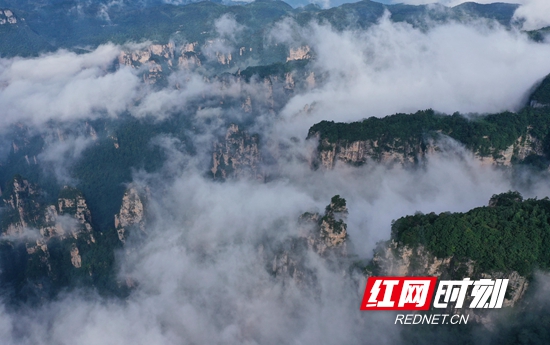DJI_0348_副本_副本.jpg