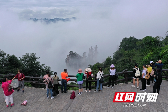 DJI_0382_副本_副本.jpg