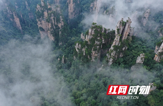 DJI_0406_副本_副本.jpg