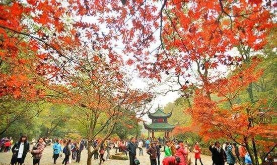 湖南“秋天”最美的天堂:不是张家界,也不是岳阳楼,而是……