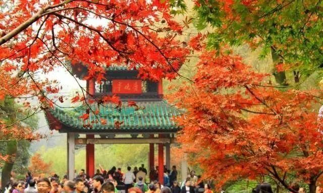 湖南“秋天”最美的天堂:不是张家界,也不是岳阳楼,而是……