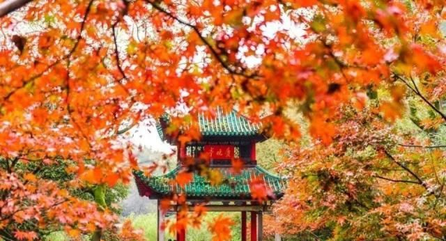 湖南“秋天”最美的天堂:不是张家界,也不是岳阳楼,而是……
