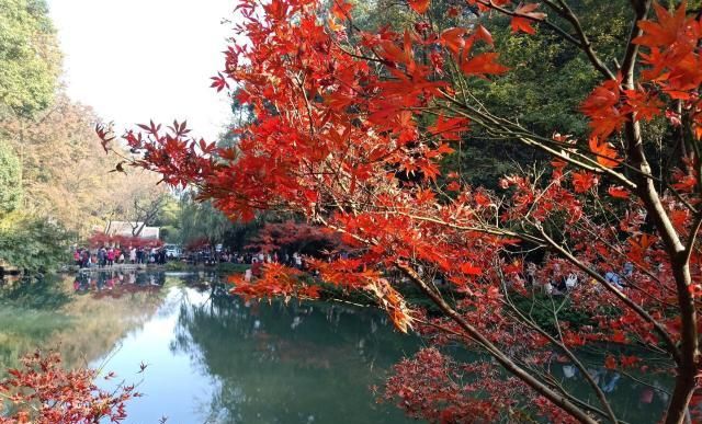 湖南“秋天”最美的天堂:不是张家界,也不是岳阳楼,而是……