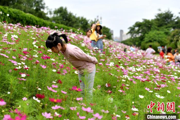 图为游客在福州花海公园游玩、赏花。　吕明 摄