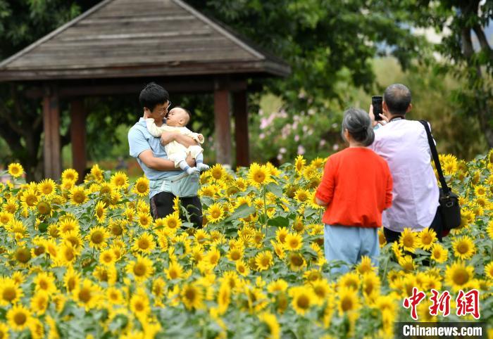 图为游客在福州花海公园游玩、赏花。　吕明 摄