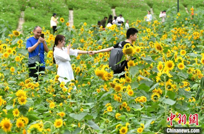 图为游客在福州花海公园游玩、赏花。　吕明 摄