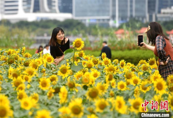 图为游客在福州花海公园游玩、赏花。　吕明 摄