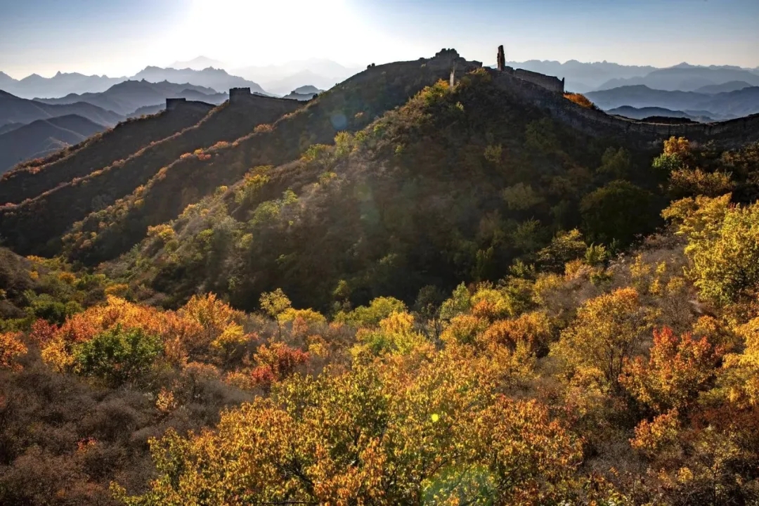 河北承德 | 金山岭的秋日之美，感受原始自然的长城秋韵！