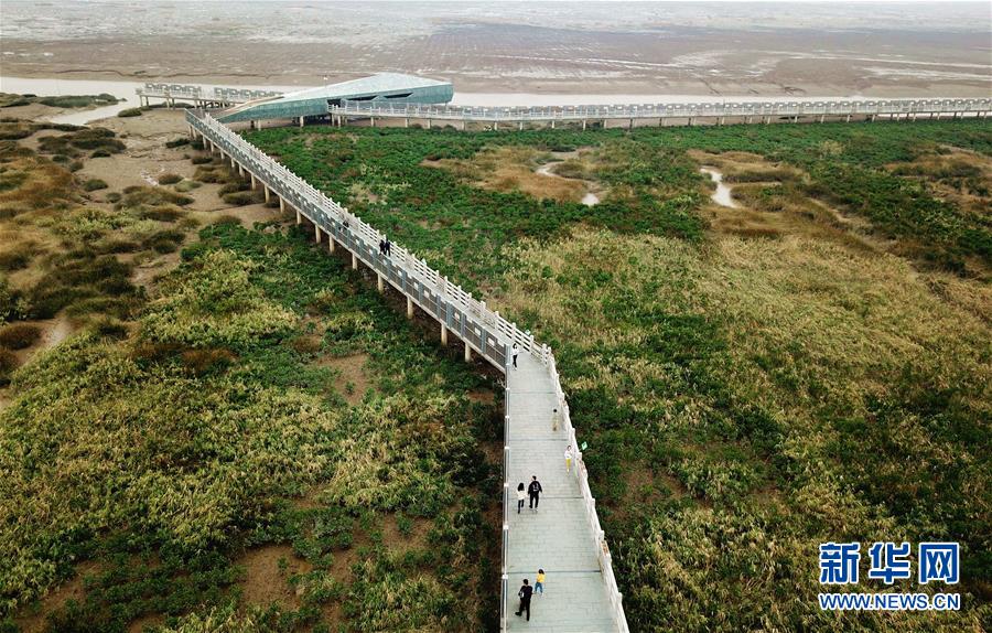 （美丽中国）（1）景色迷人的闽江河口国家湿地公园