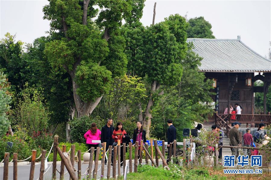 (美丽中国)(5)景色迷人的闽江河口国家湿地公园