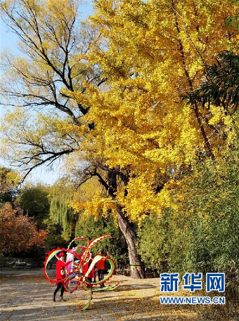 （环境）（1）圆明园秋景醉游人