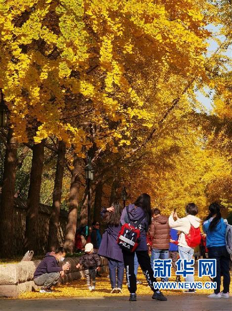 （环境）（6）圆明园秋景醉游人