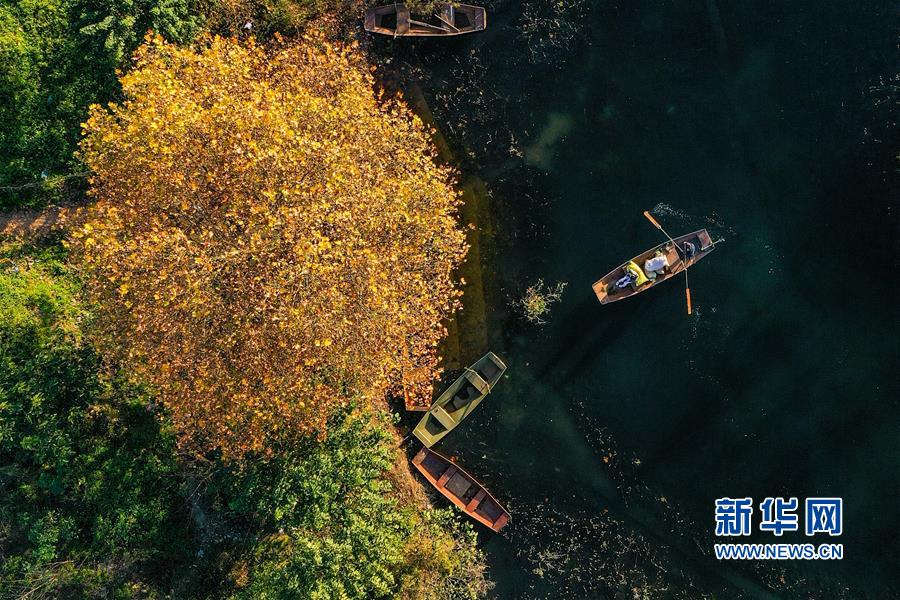 （美丽中国）（4）初冬阿哈湖景如画