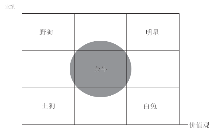 阿里人才坐标