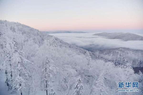 雪乡国家森林公园冬日美景 雪乡国家森林公园冬日美景