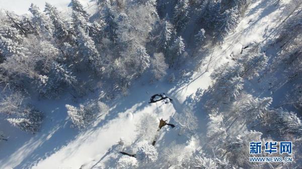 雪乡国家森林公园冬日美景 雪乡国家森林公园冬日美景